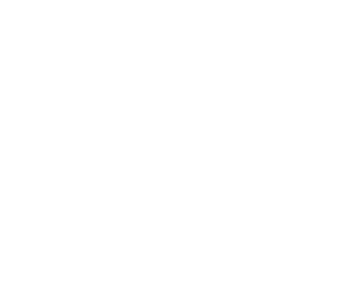 APWIDE_logo_icon_white